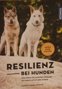 Resilienz_DSC_3870