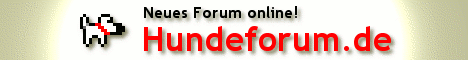Das neue Hundeforum - jetzt anmelden!